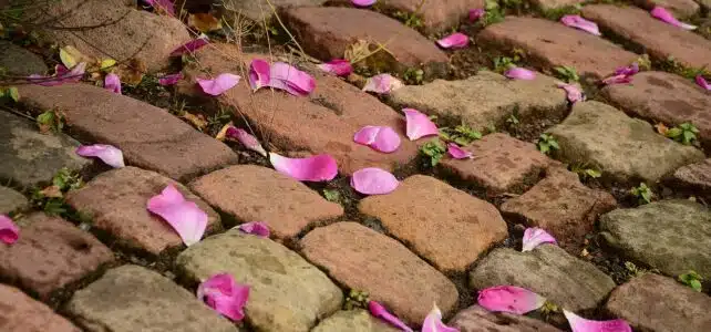 Où trouver des pavés ?